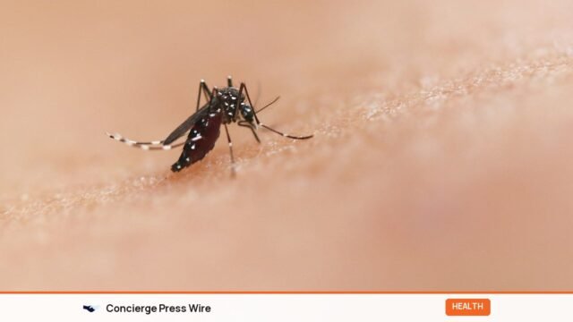 Dengue Symptoms, Prevention and Home Care for Indian Families