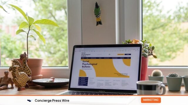 90-Day Digital Marketing Plan for Small Businesses in India
