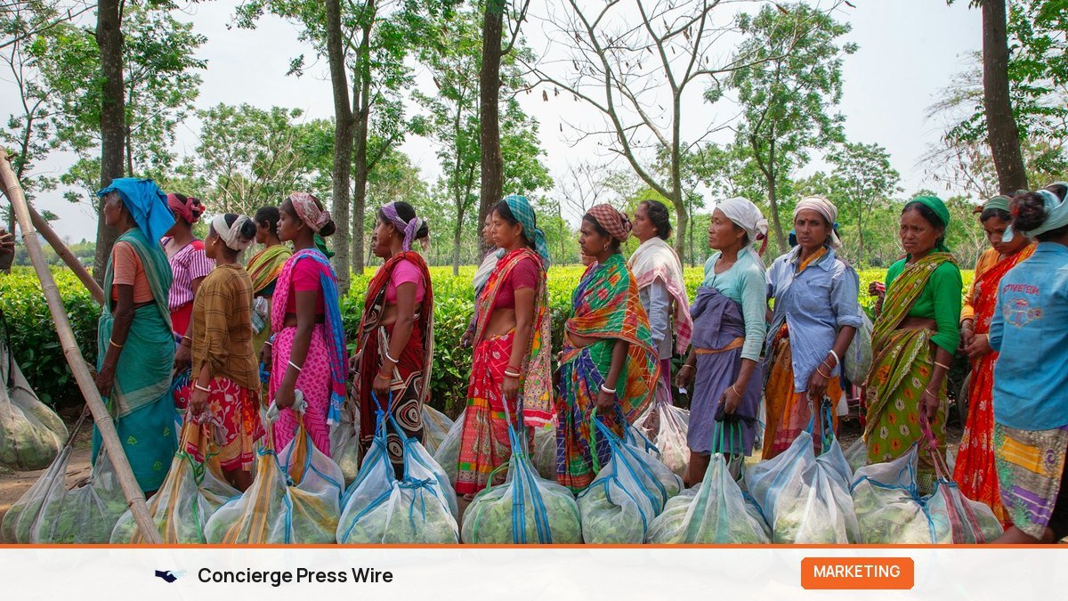 PR for NGOs in India: Impact Stories, Media and CSR Visibility